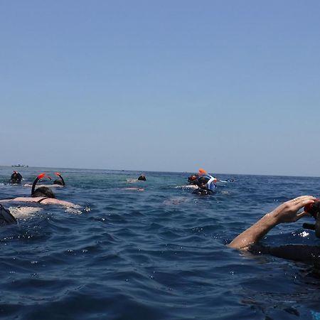 Avana Hotel & Dive Center Pemuteran Eksteriør bilde